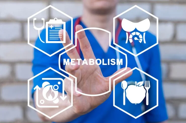 Metabolic Panel